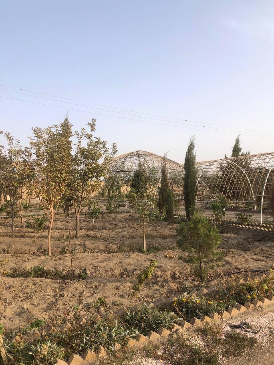اجاره باغ ویلا در گناباد