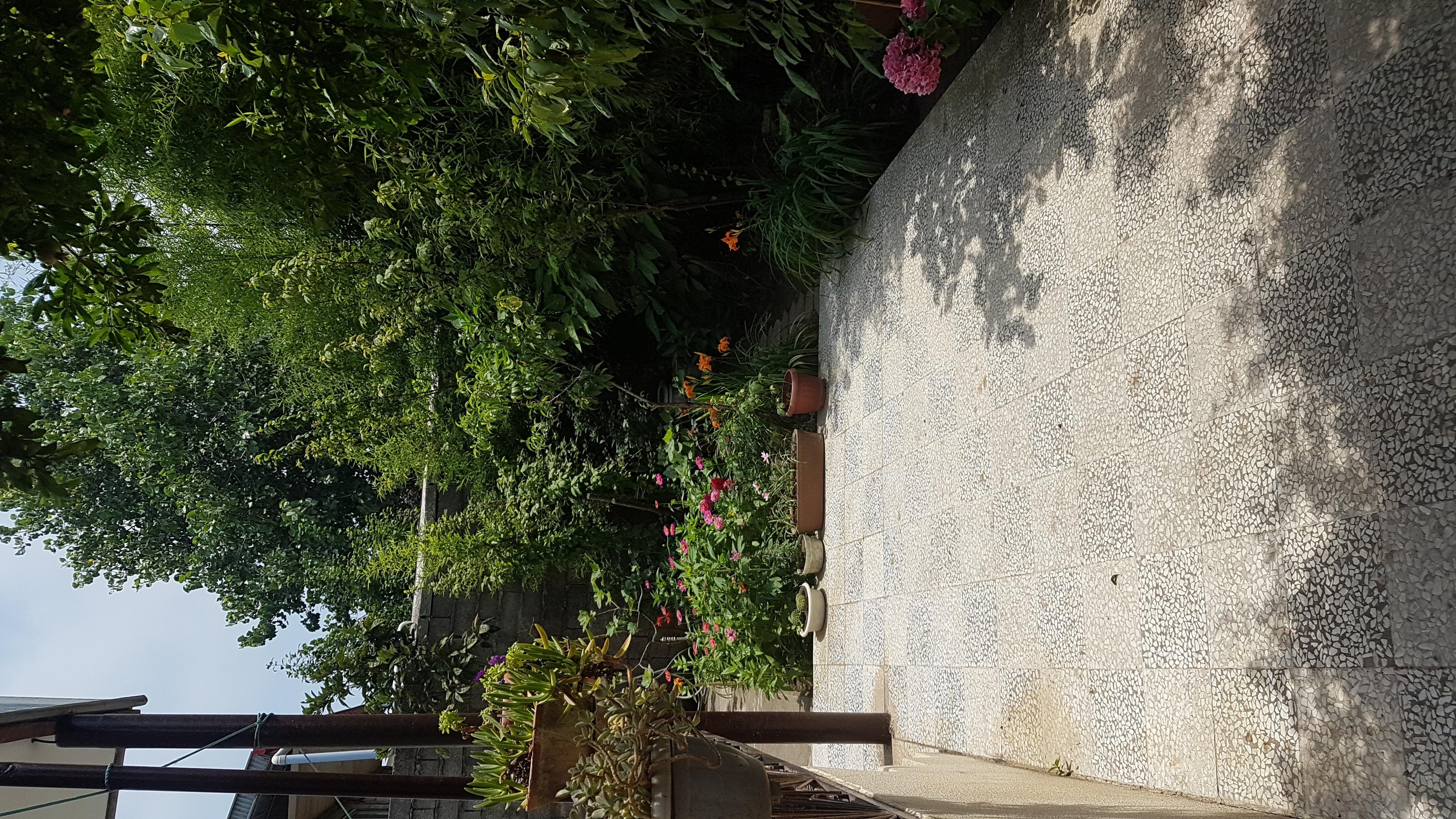 سوئیت 55 متری ویلای گل ها