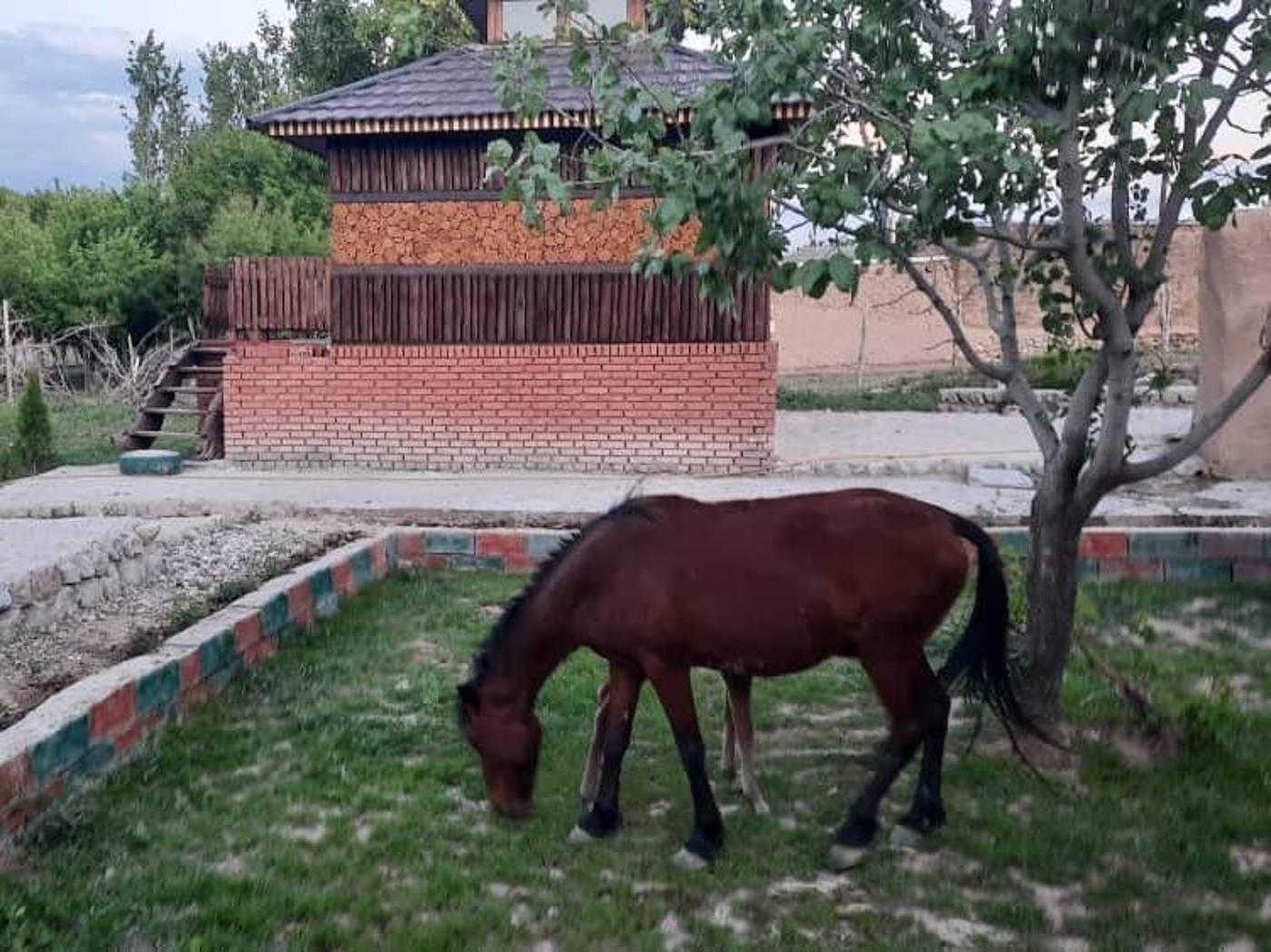 بوم گردی انگوران در ماهنشان