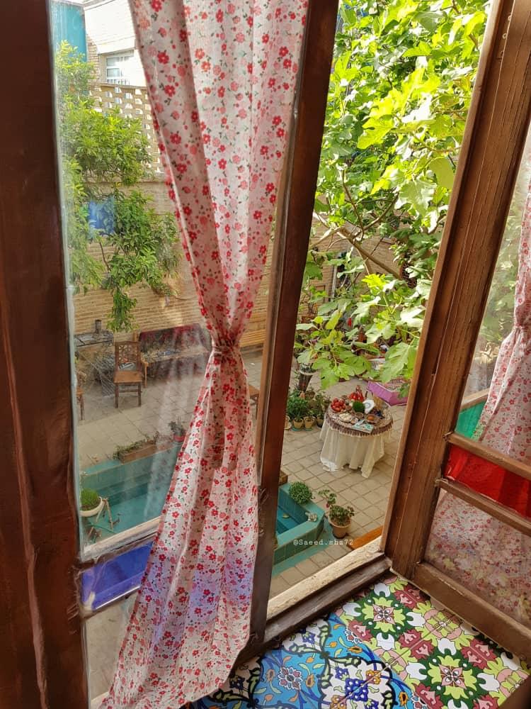 بوم گردی ماه سلطان در شیراز