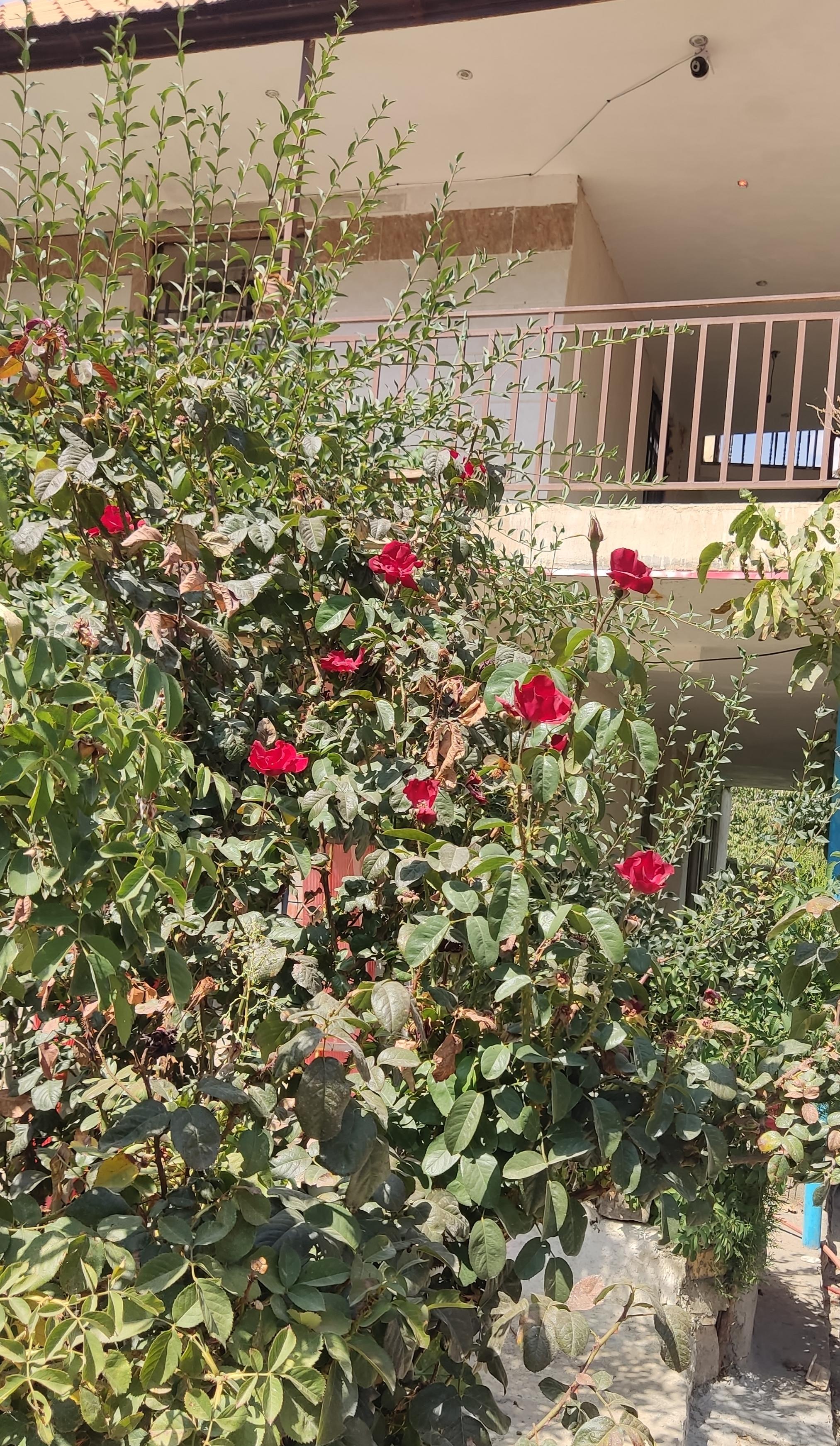 رزرو روزانه اقامتگاه در همدان