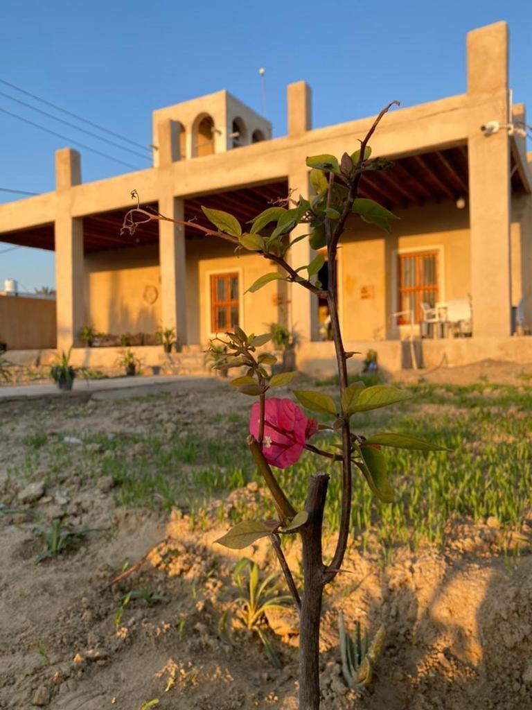 اجاره بومگردی تورگن قشم