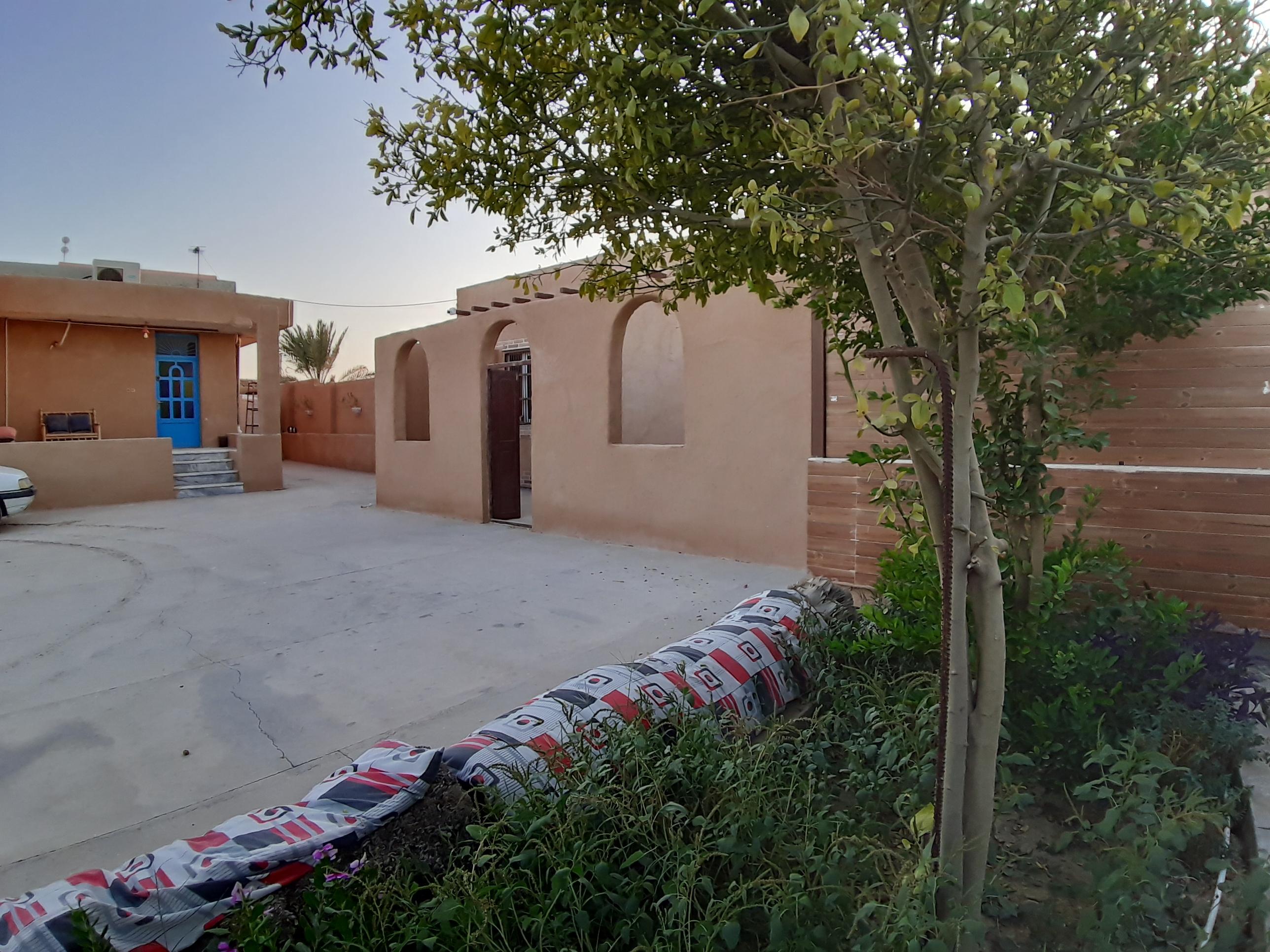 دوگ دلارام سوئیت دریا