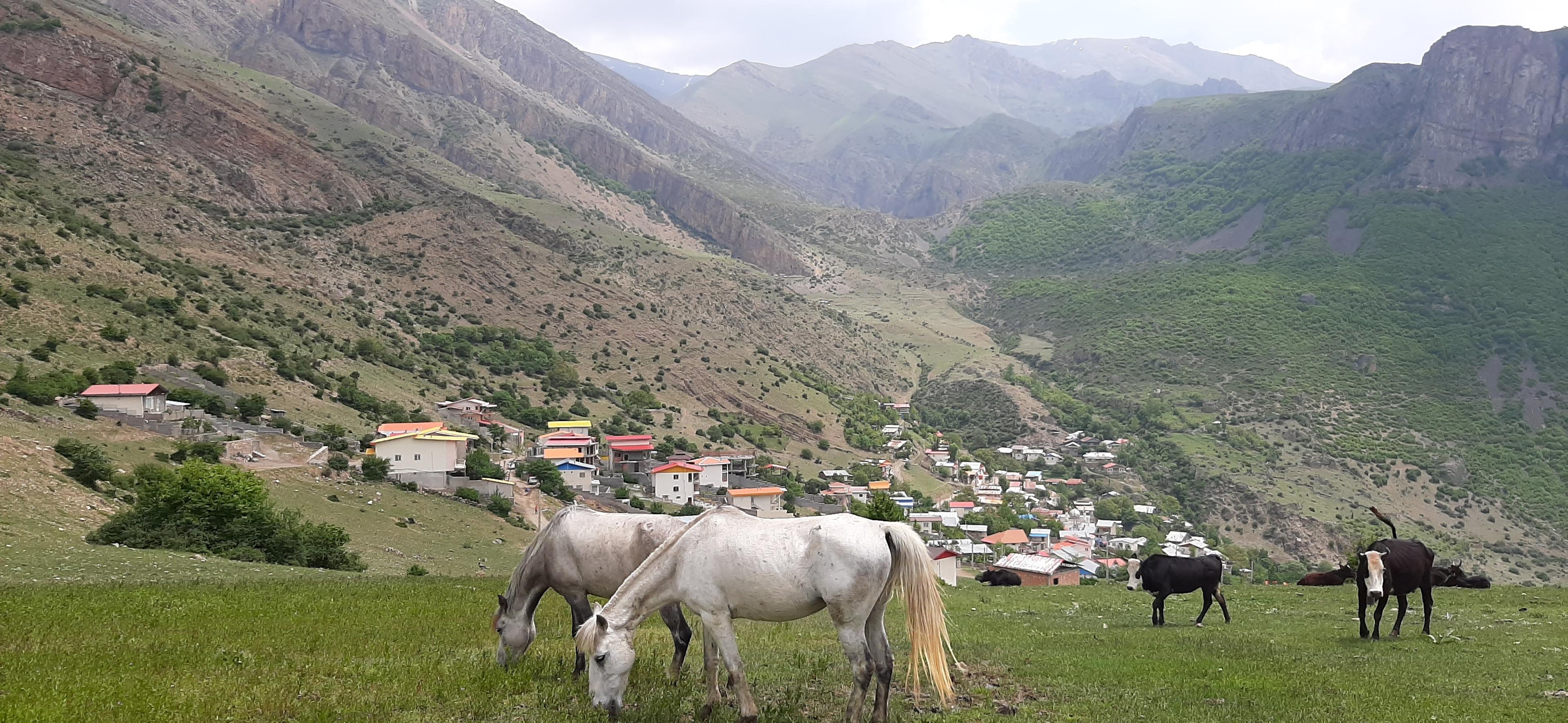 سوئیت اجاره ای جاده چالوس