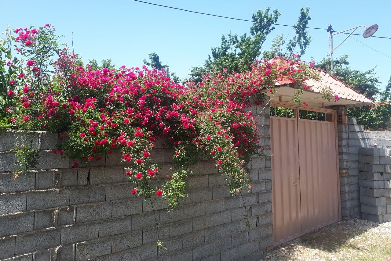 خونه باغ کوچه بهشت بابل