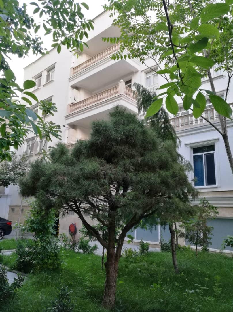 آپارتمان لوکس مبله الهیه تهران