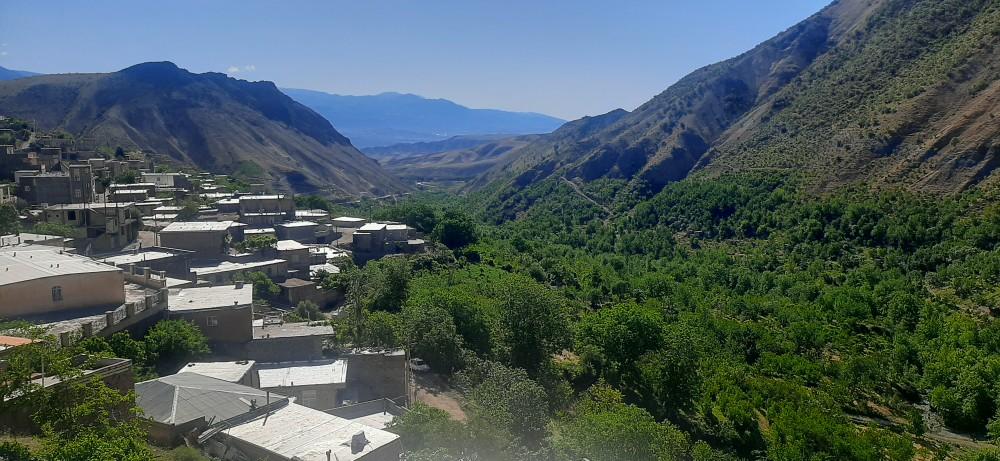 سوئیت 301 بام شیت طارم