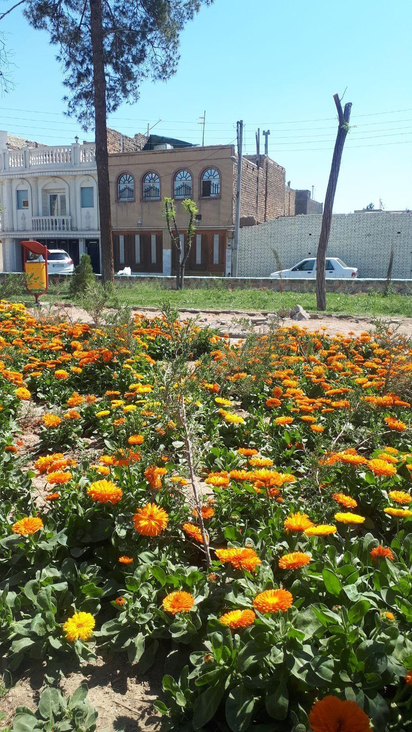 واحد دو خوابه در مرکز شهر