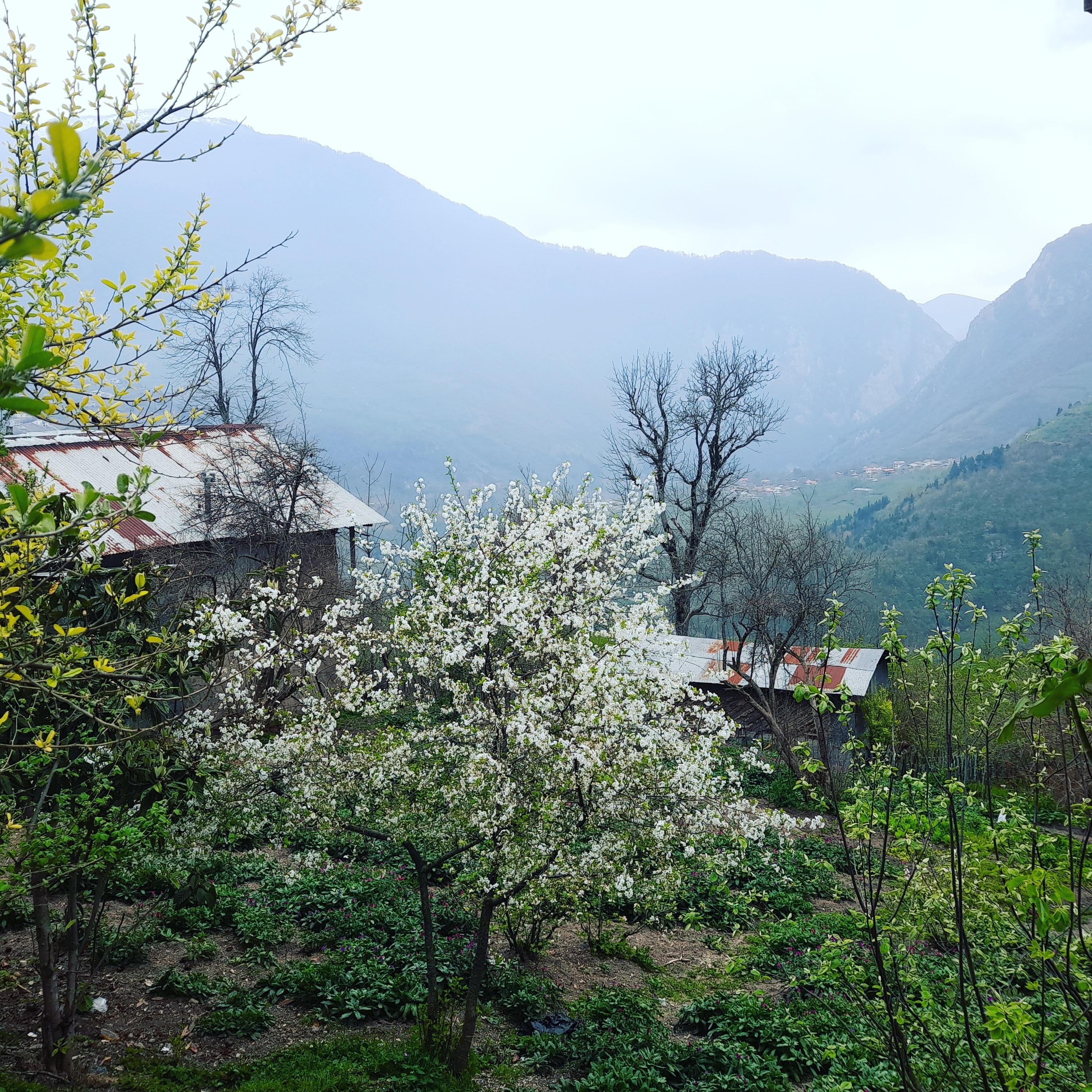 خانه سنتی در روستای میلاش