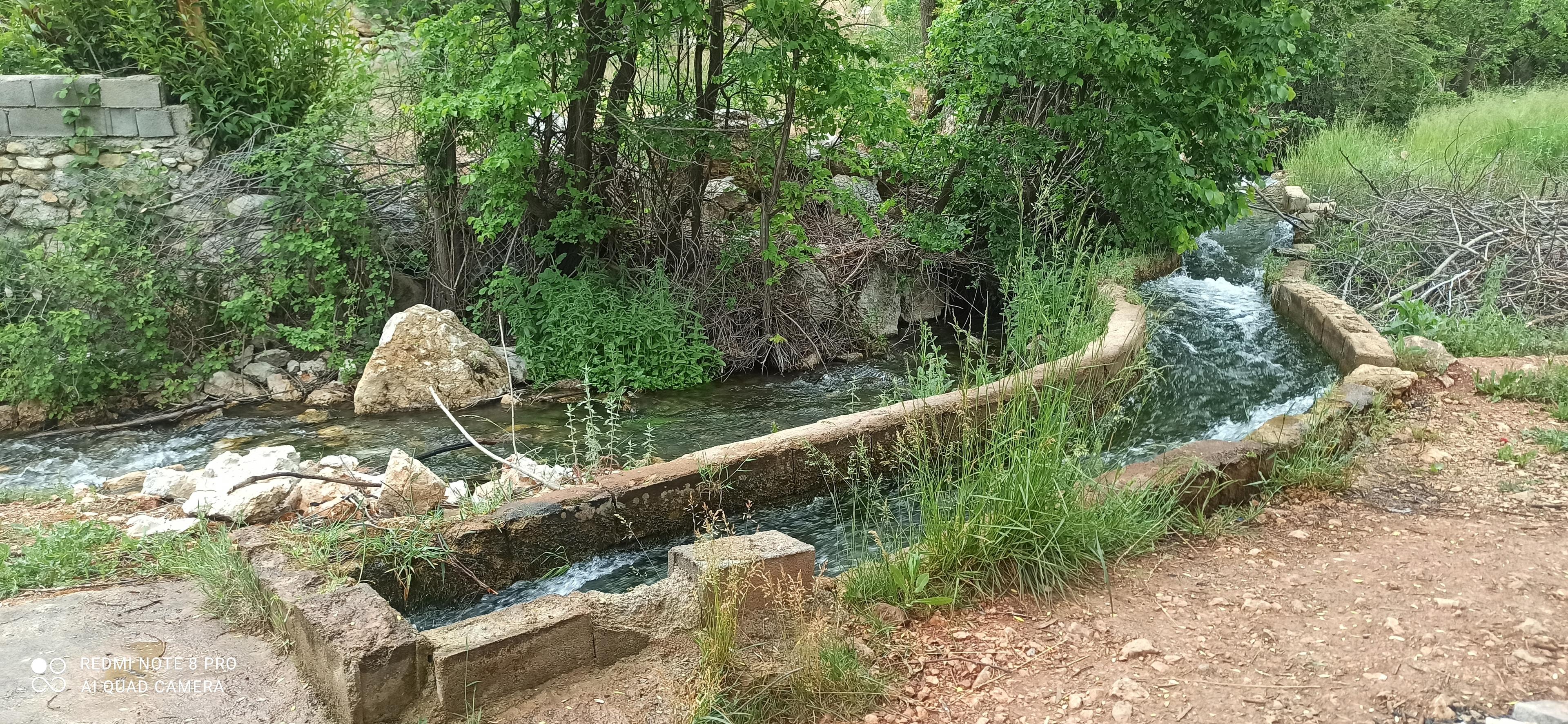 باغ سرچشمه رضایی سی سخت