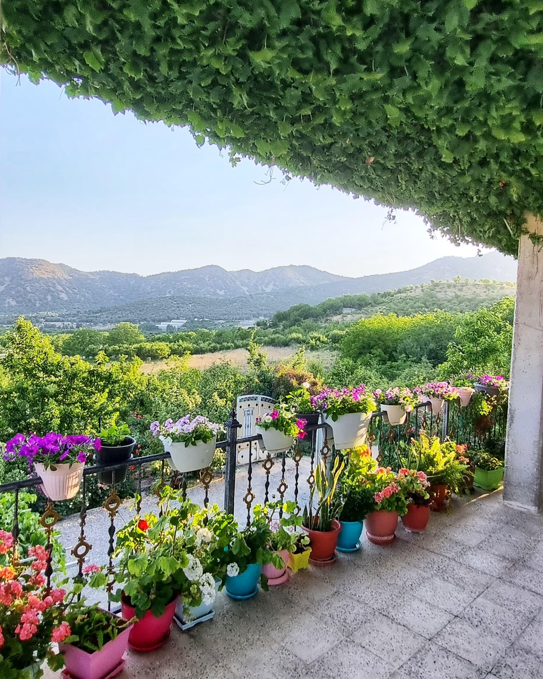 باغ ویلا اجاره ای زاگرس