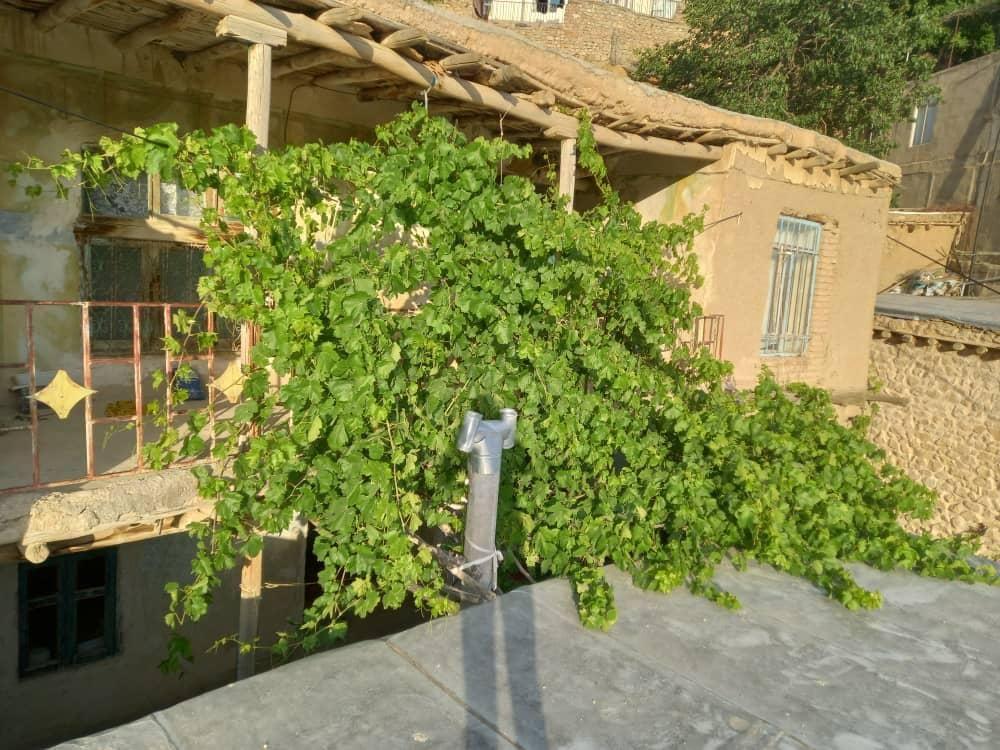 خانه روستایی در اسفیدان بجنورد
