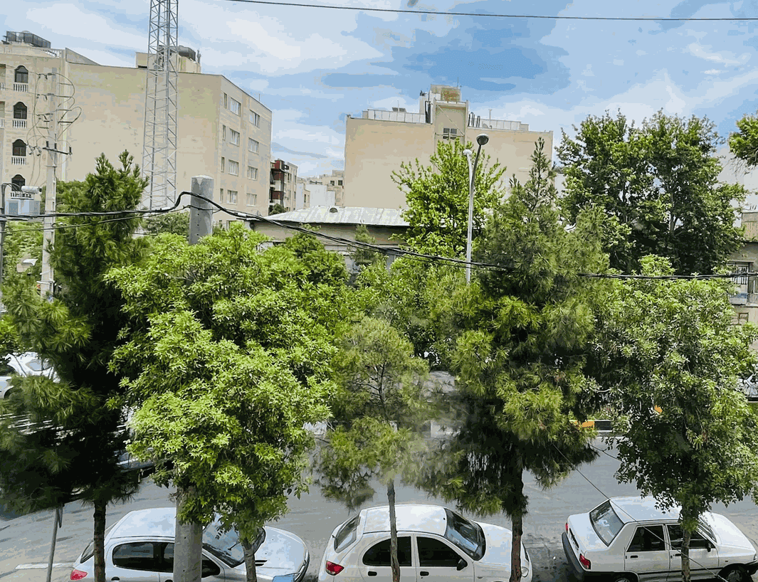 اجاره واحد تک خوابه در شیراز
