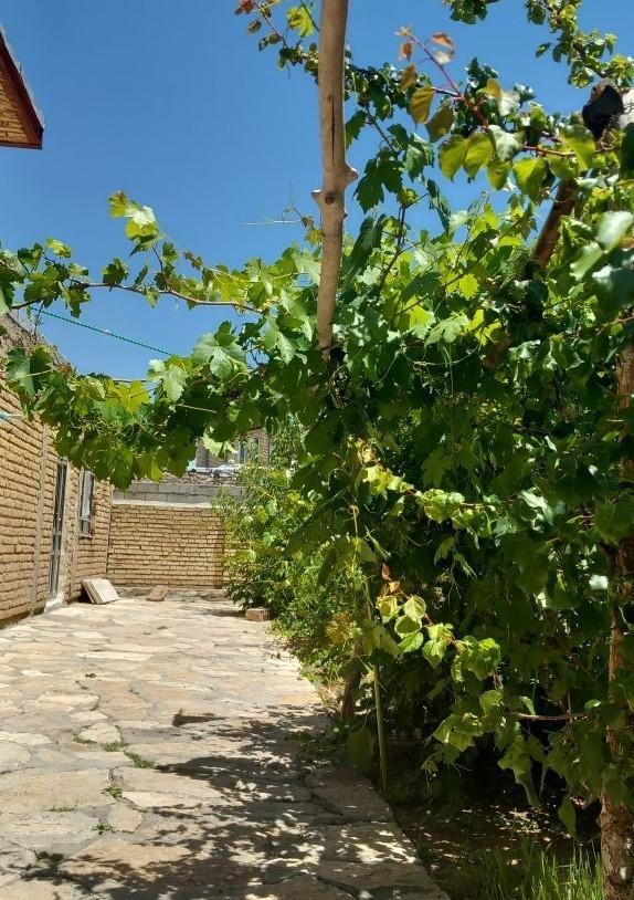 اجاره سوئیت در تخت سلیمان
