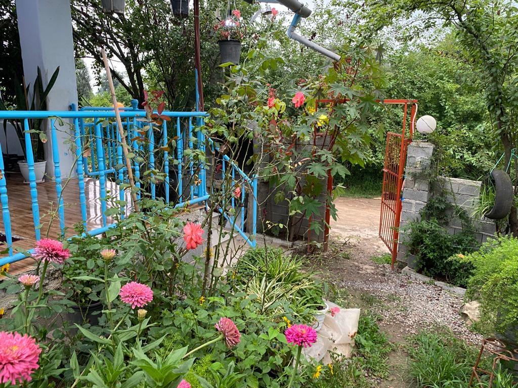 کلبه جنگلی چشمه قائم شهر