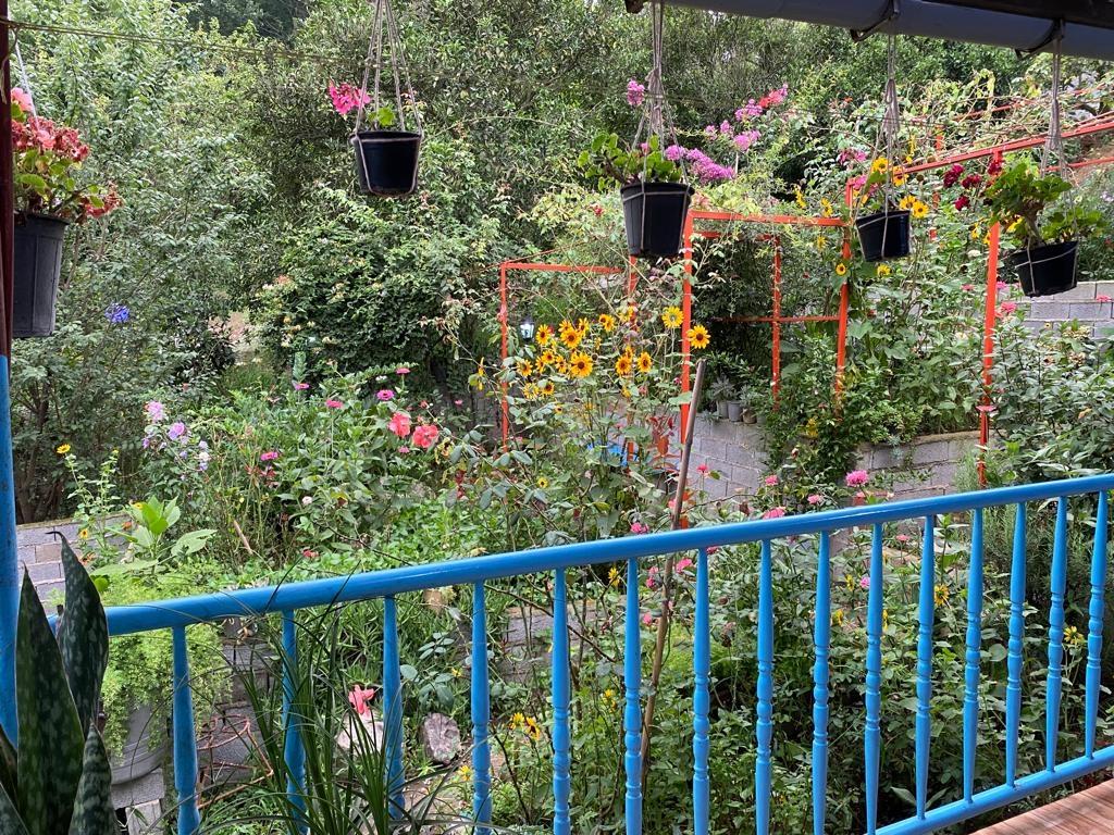 کلبه جنگلی چشمه قائم شهر