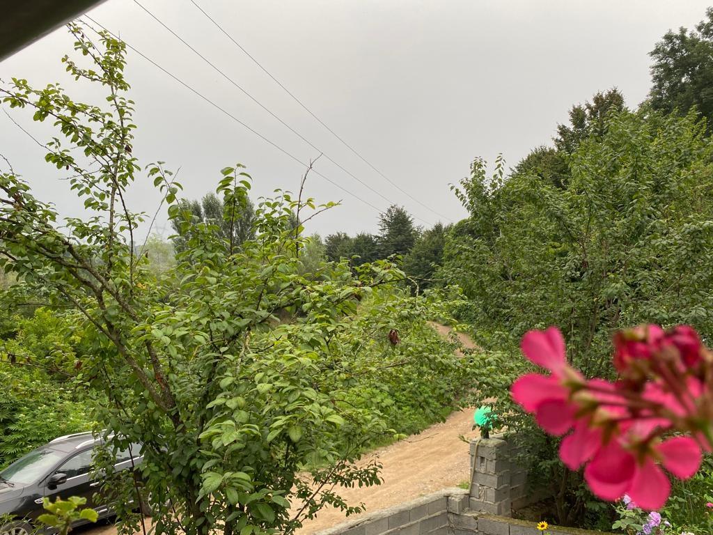 کلبه جنگلی چشمه قائم شهر