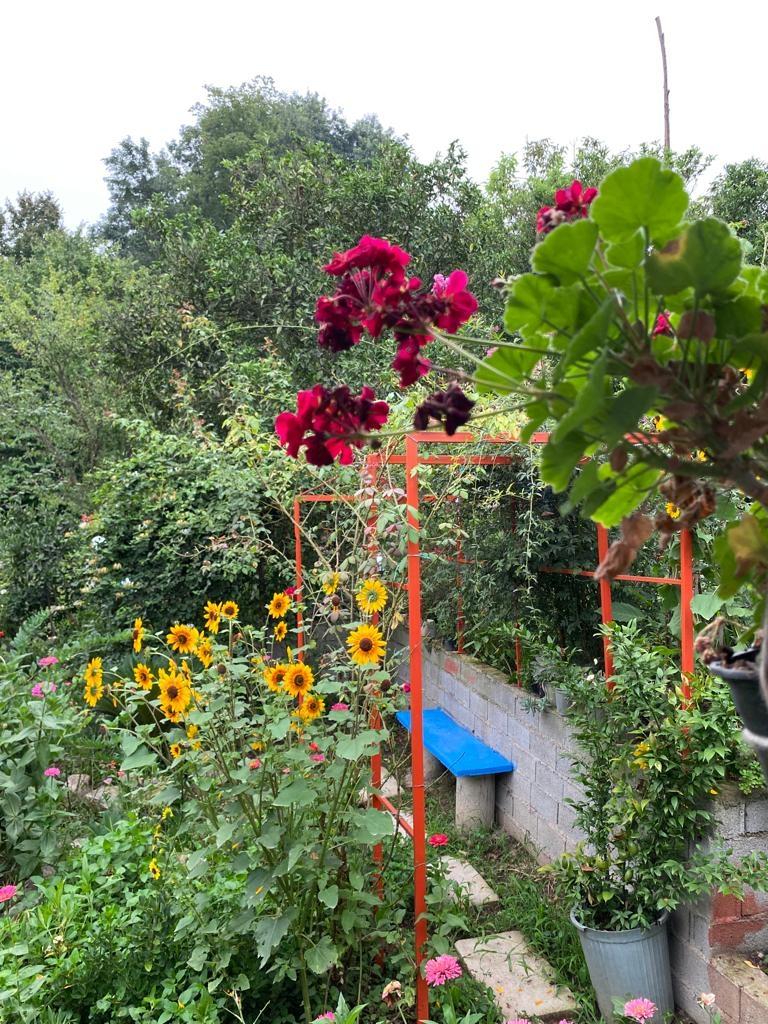 کلبه جنگلی چشمه قائم شهر