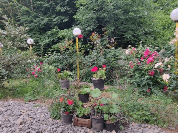 اجاره کلبه جنگلی در حیران
