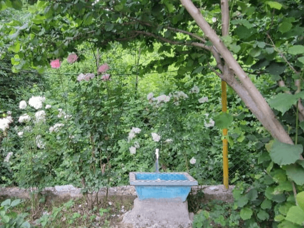 اجاره کلبه جنگلی در حیران