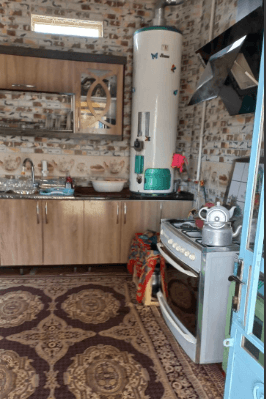 بومگردی آلاله سفید تالاب گندمان