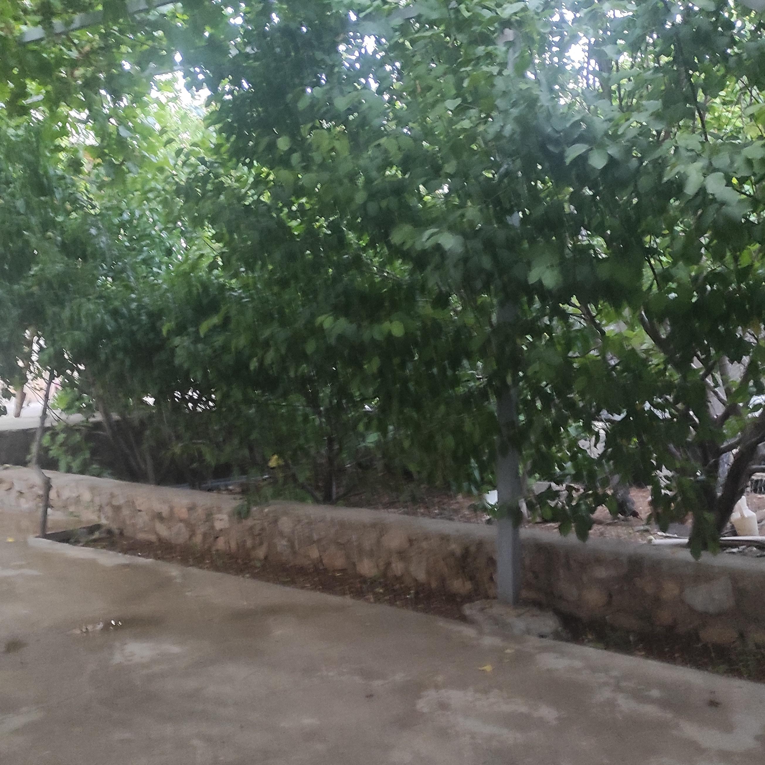 اقامتگاه دو خوابه در سی سخت
