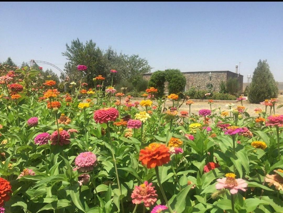 باغ سنگی نیشابور