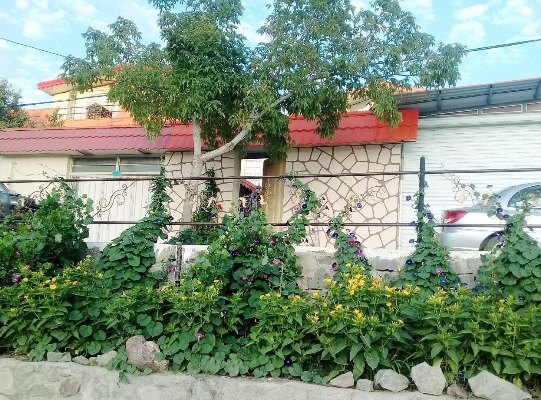 اجاره سوئیت روزانه در زنجان
