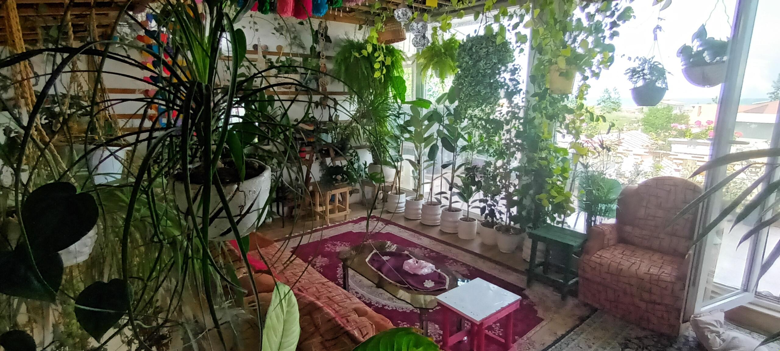 ویلا تریپلکس ساحلی چمخاله