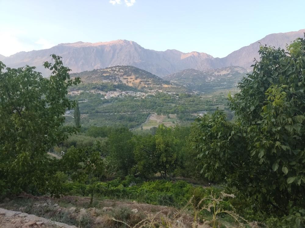 سوییت فلت در سی سخت
