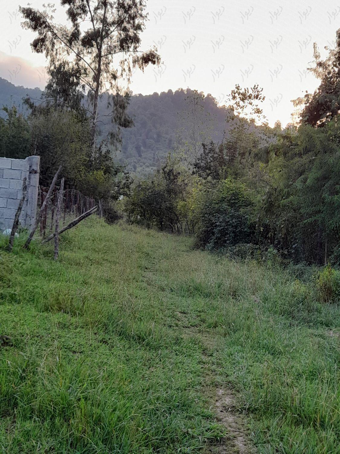 ویلا جنگلی تک خوابه در تالش 