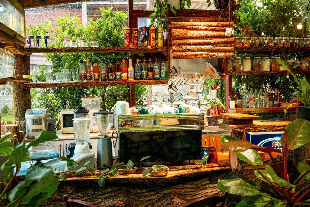 کلبه های گردشگری یارا در تنکابن