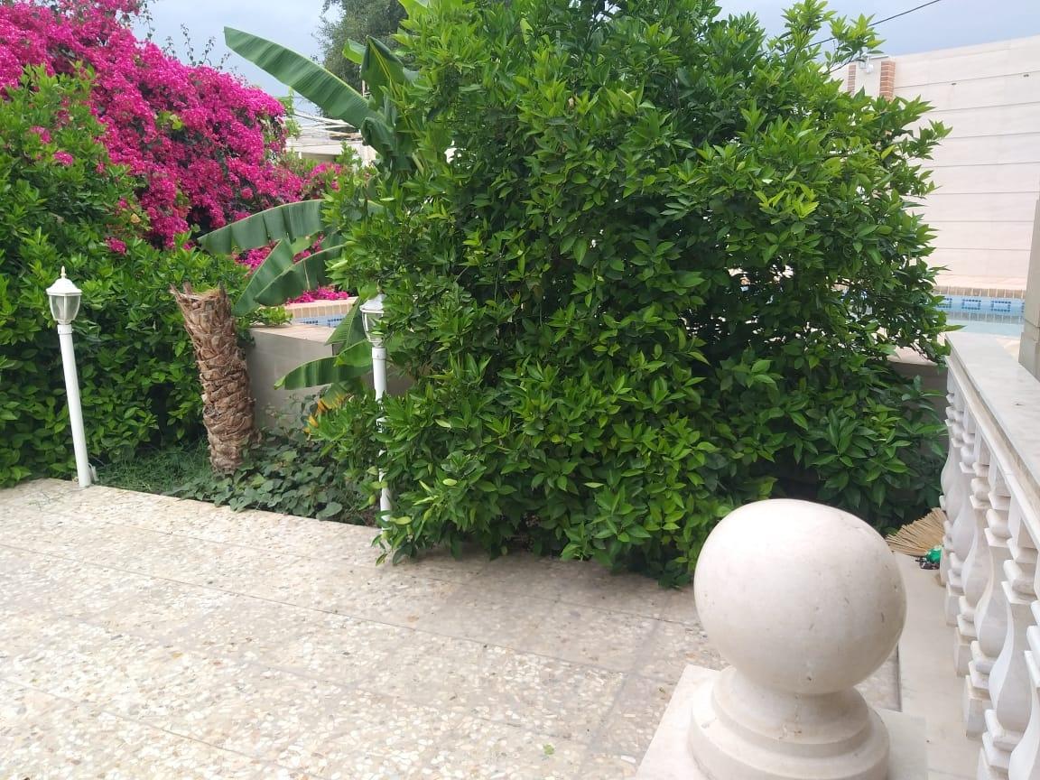 ویلای استخردار آب گرم در دزفول