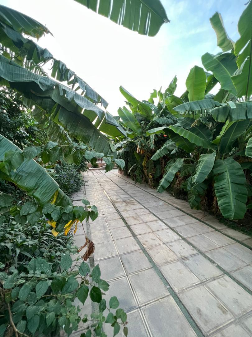 ویلا باغ آی‌گل در دزفول