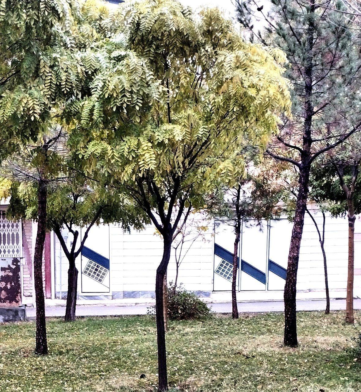  ویلایی بهشت بروجرد