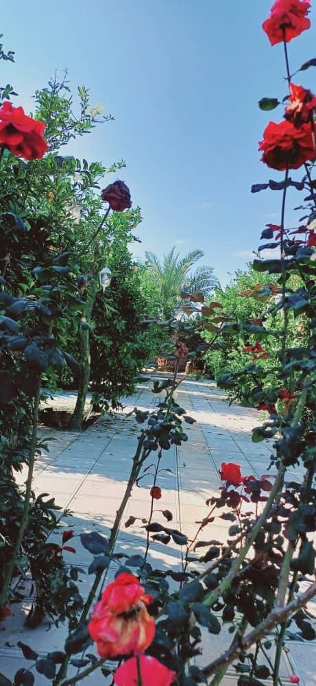 ویلا باغ دلربا در دزفول