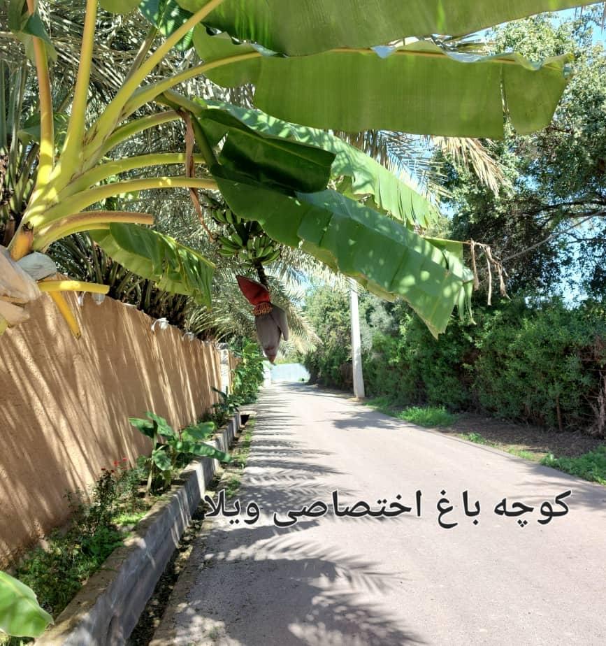 ویلا باغ خوش نویس در دزفول