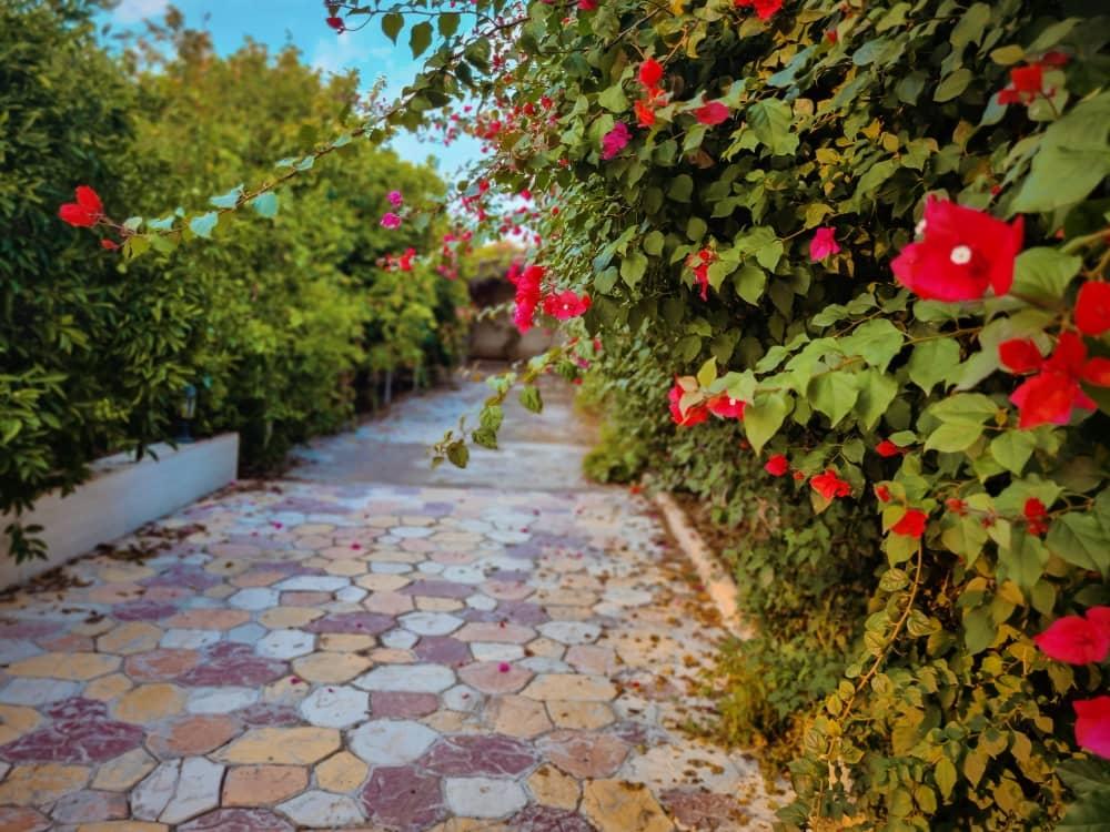 ویلا باغ مروارید در دزفول