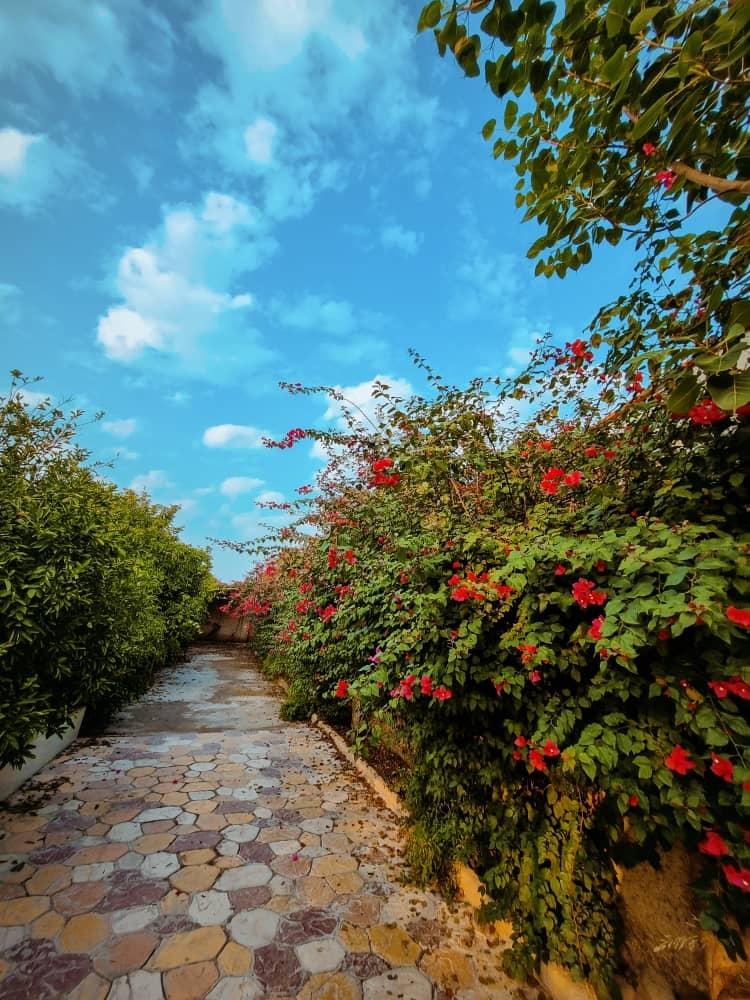 ویلا باغ مروارید در دزفول