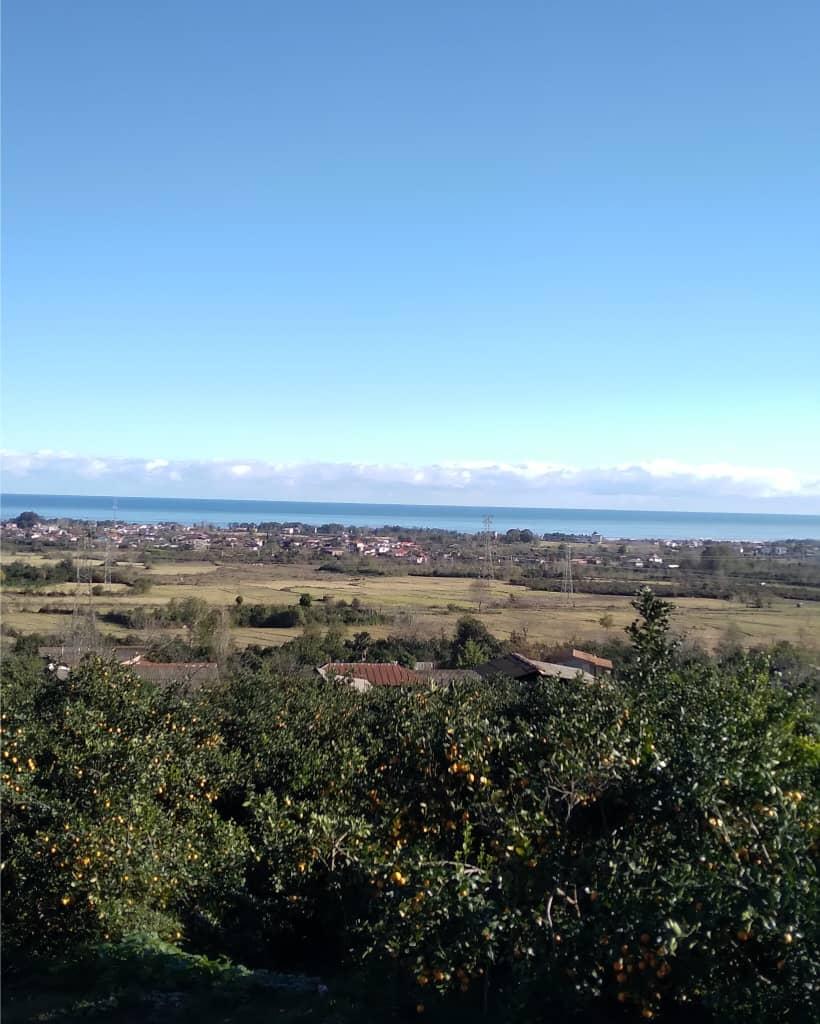 کلبه جنگلی تک خوابه آرامش
