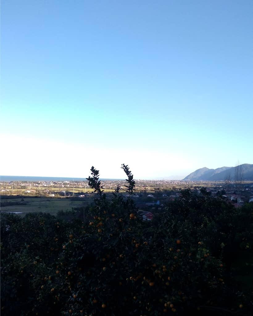 کلبه جنگلی تک خوابه آرامش