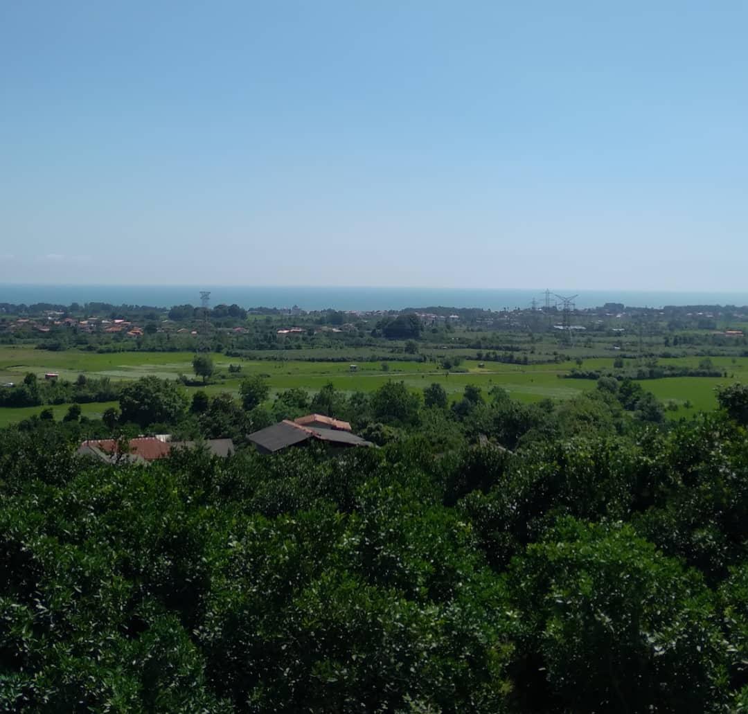 کلبه جنگلی تک خوابه آرامش