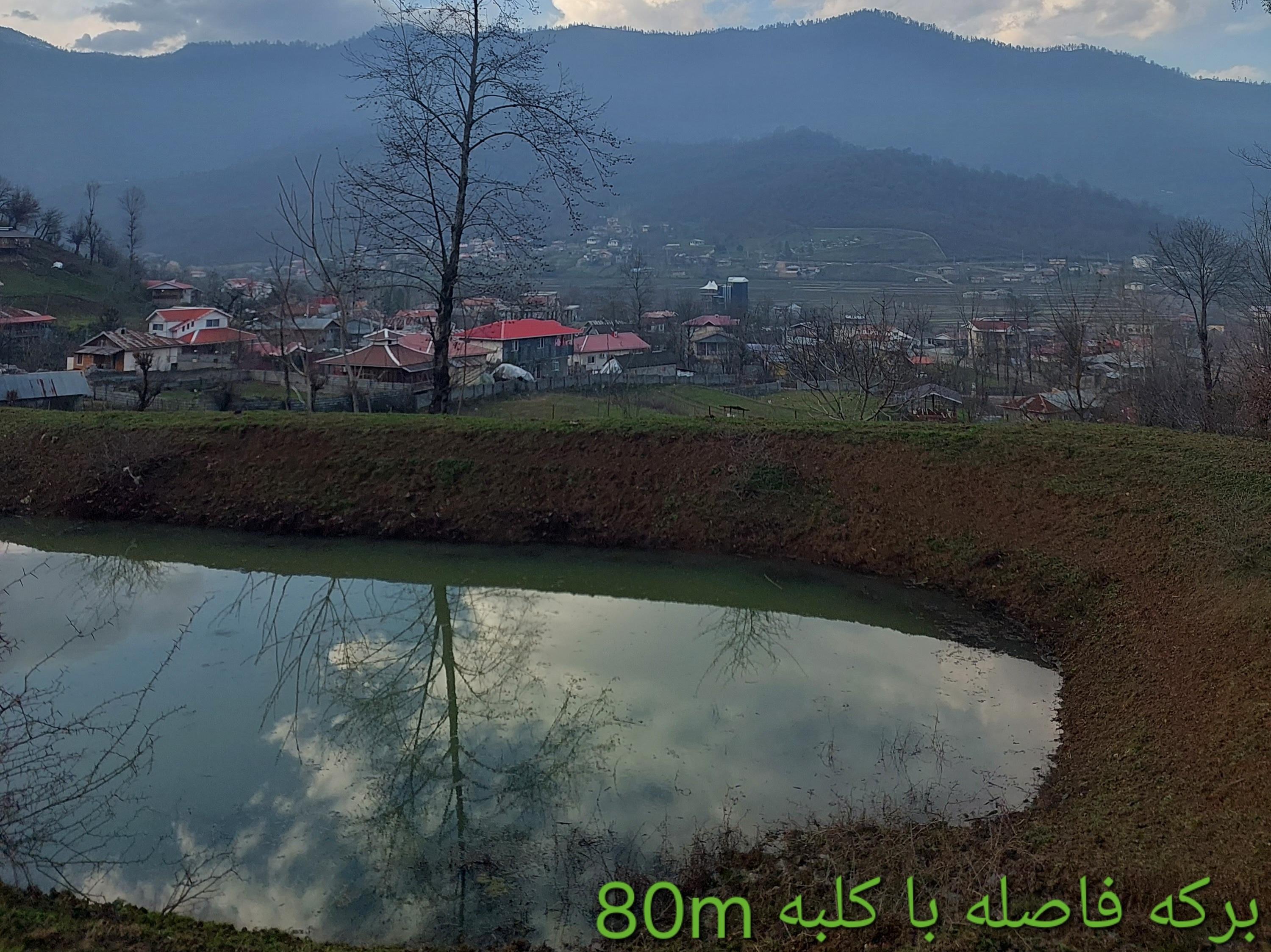 رزرو کلبه جنگلی دنج در ماسال