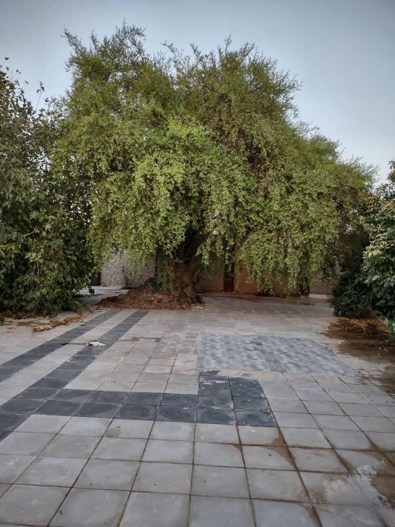 اجاره ویلا باغ کُنار در دزفول