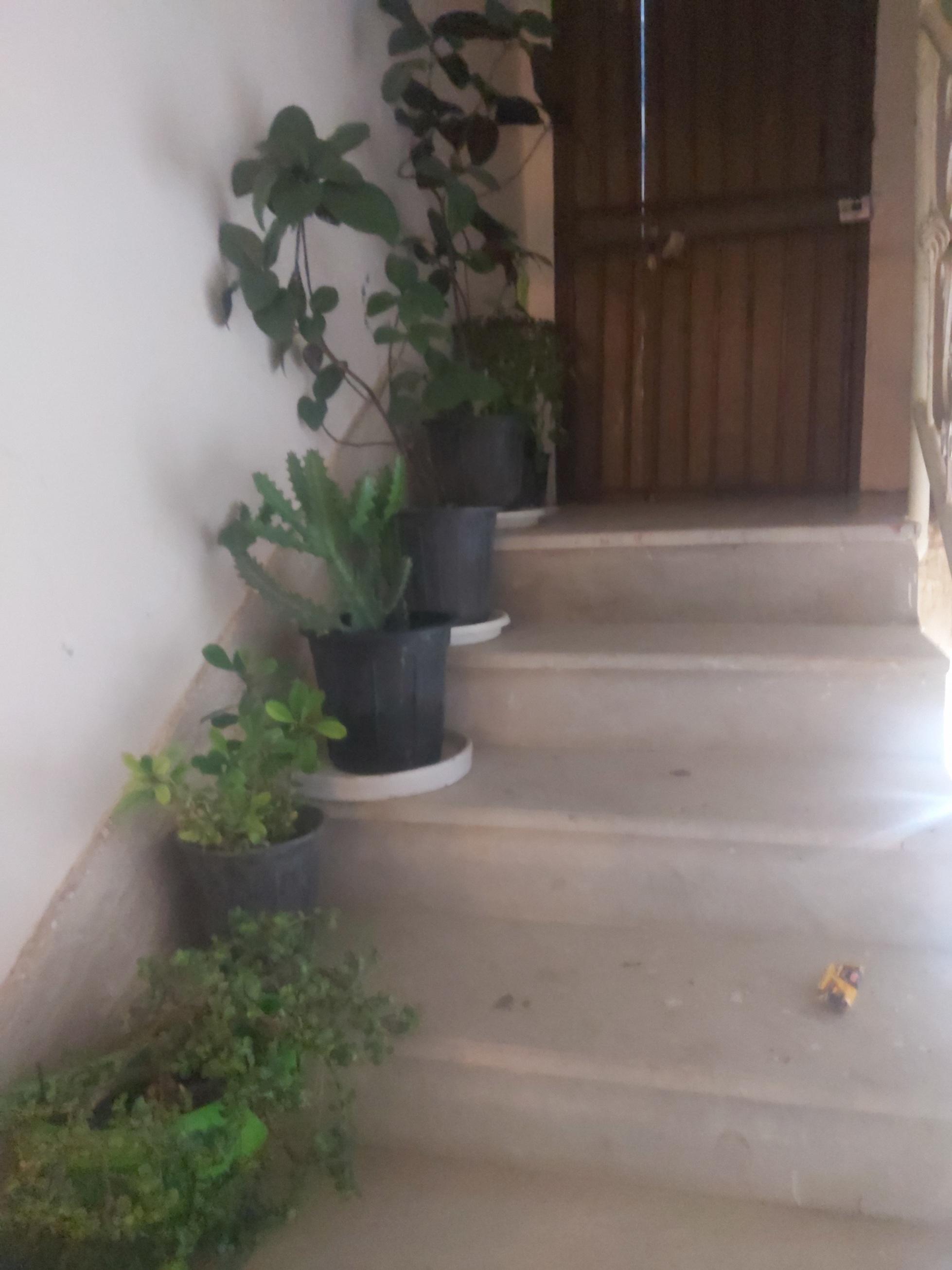 آپارتمان چابهار نزدیک دریا