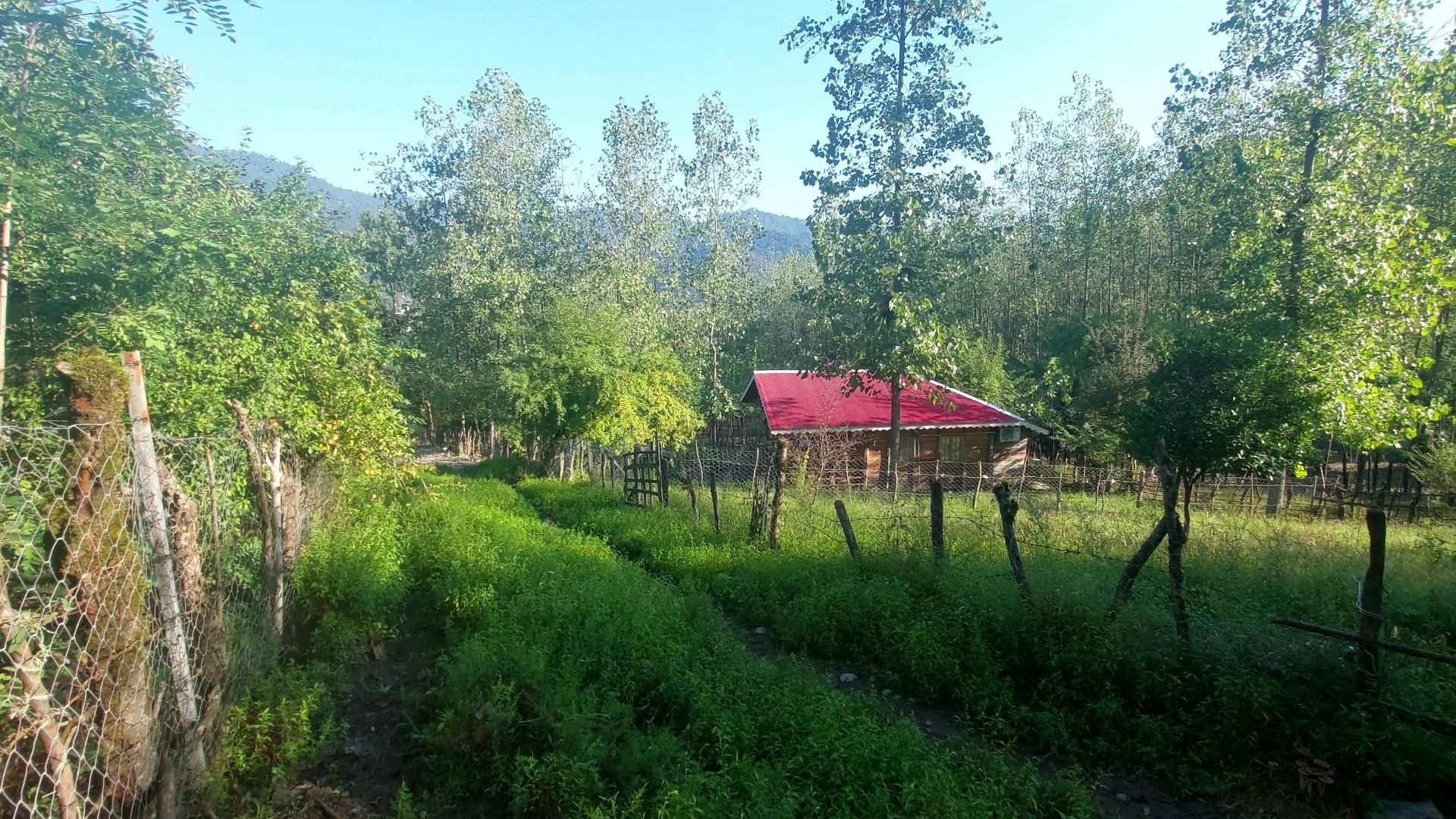 رزرو کلبه جنگلی دنج در ماسال