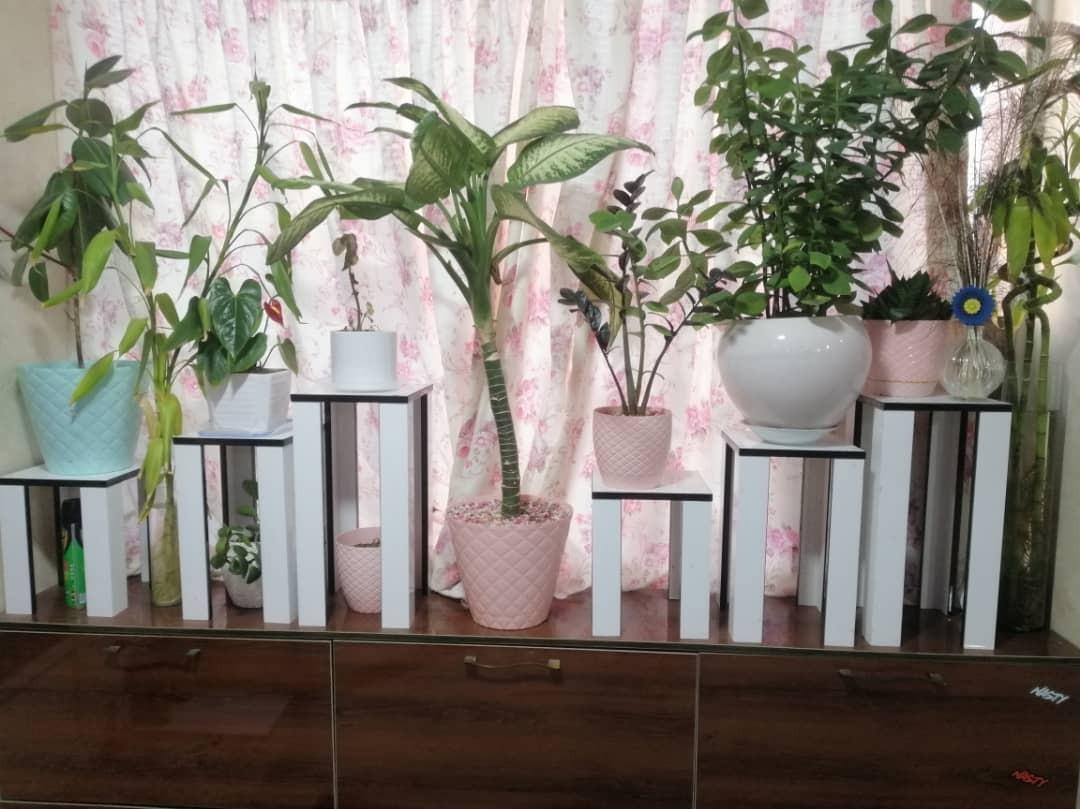 اجاره سوئیت ساحلی در بندر لنگه