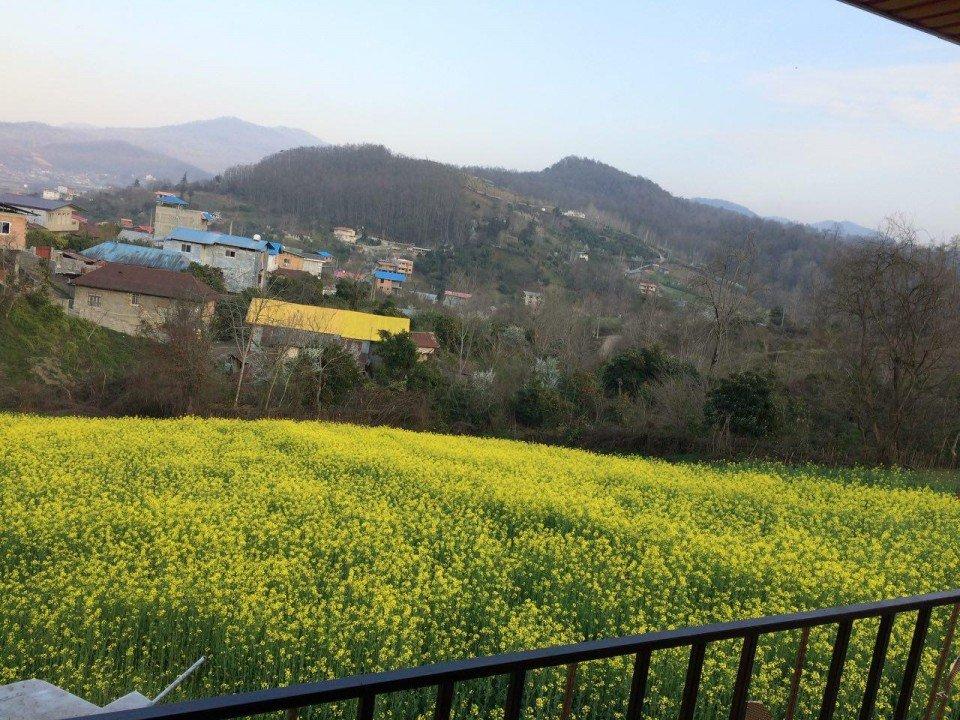 اجاره سوئیت در سواد کوه