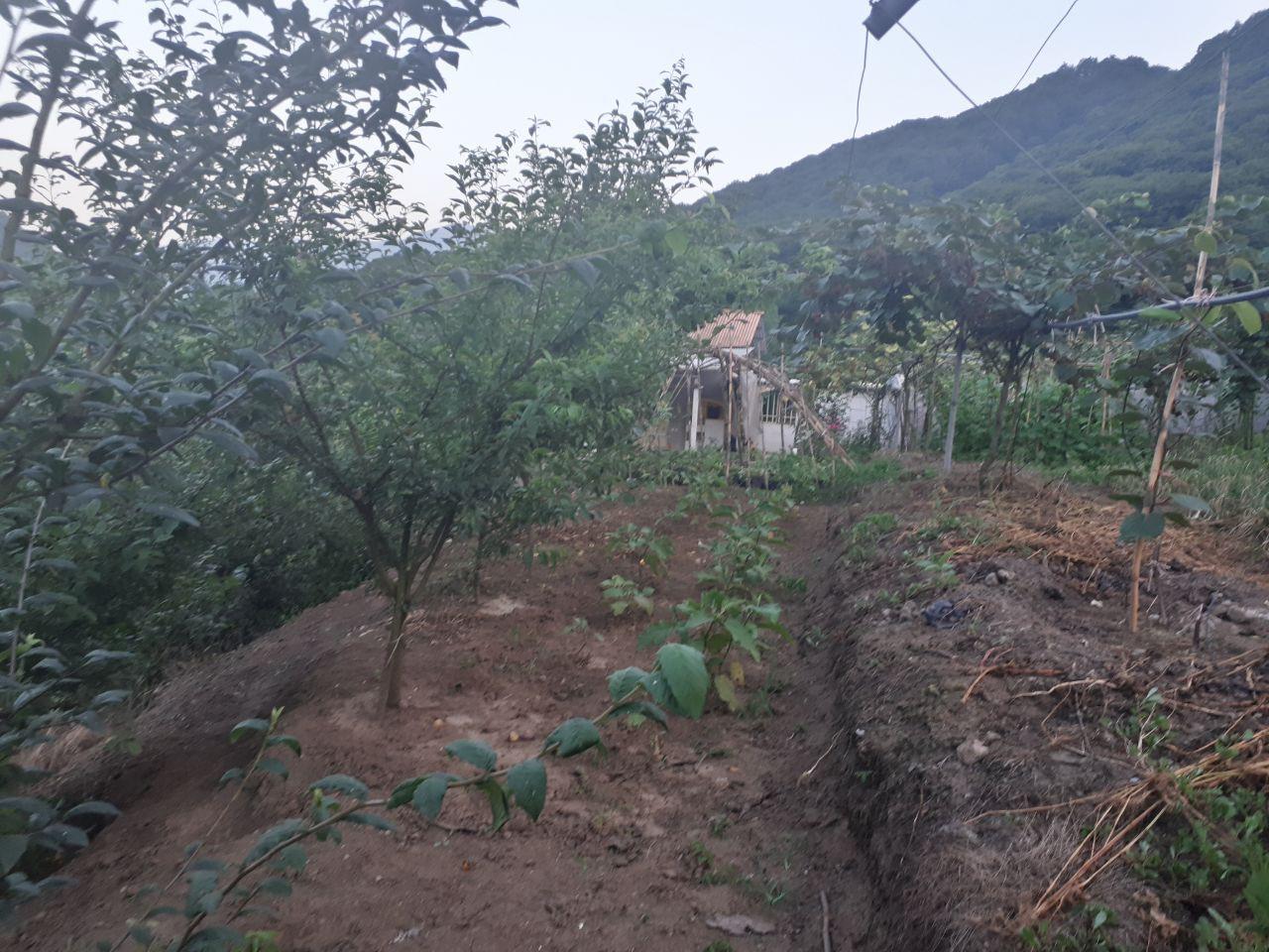 اجاره سوئیت در سواد کوه