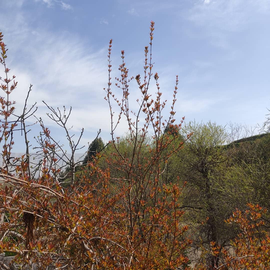 خانه سنتی ستاره دره شهر